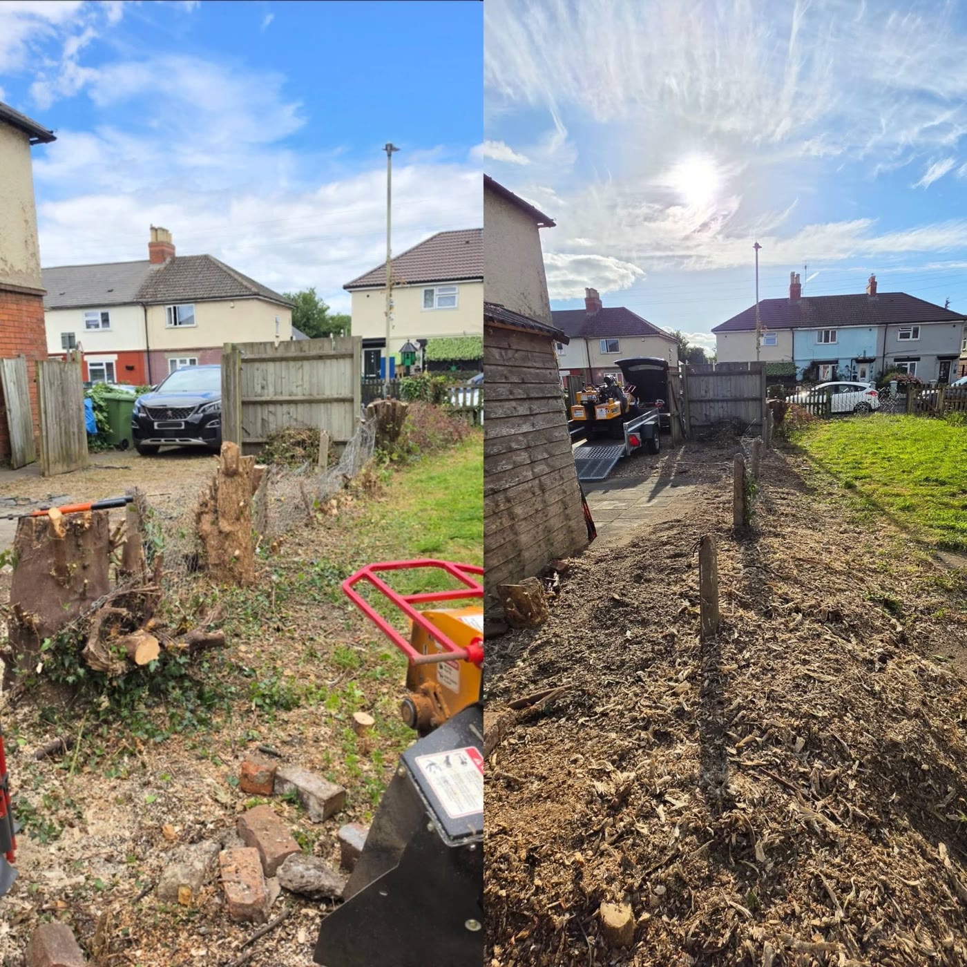 Multiple stumps before and cleared area after grinding