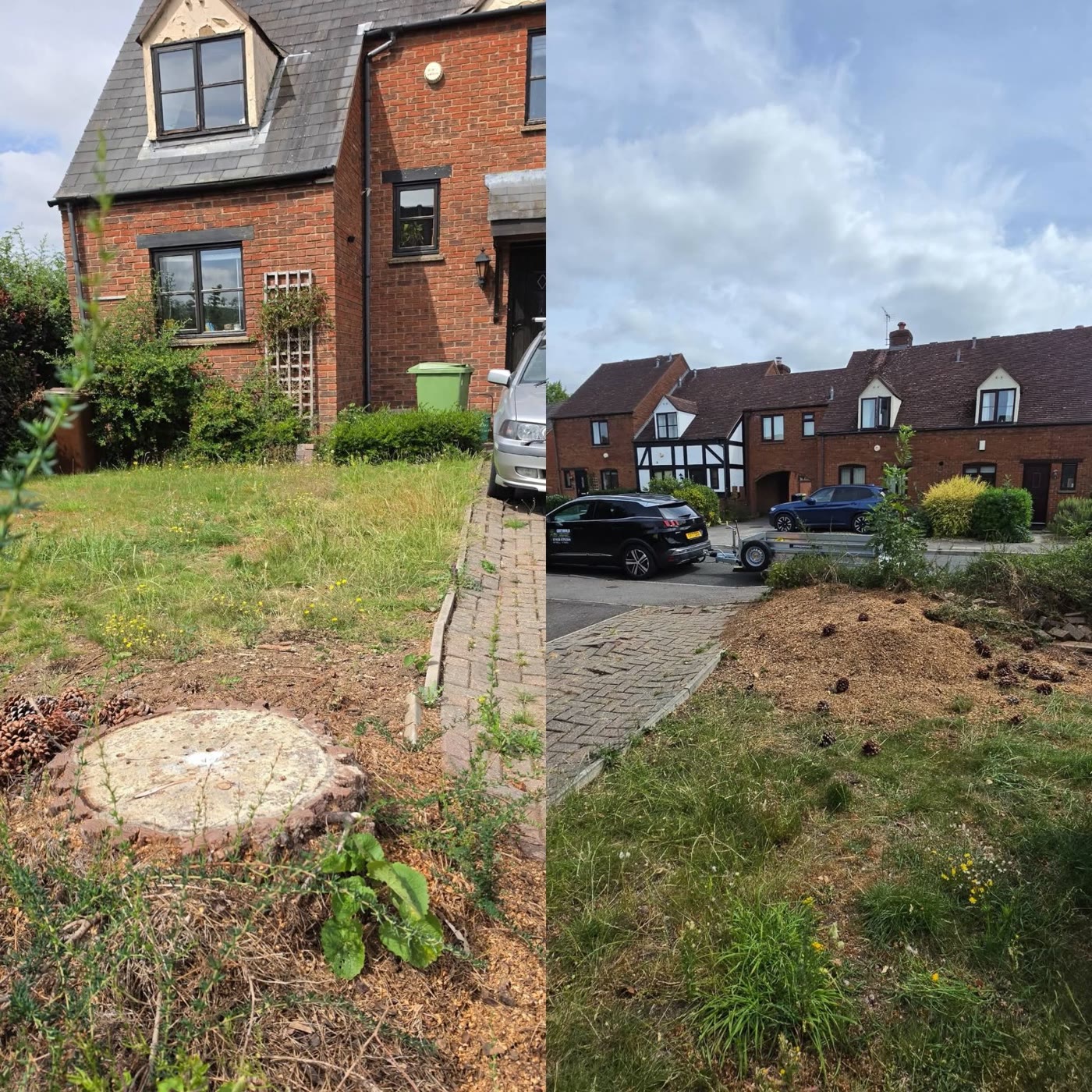 Front garden stump before and finished area after grinding