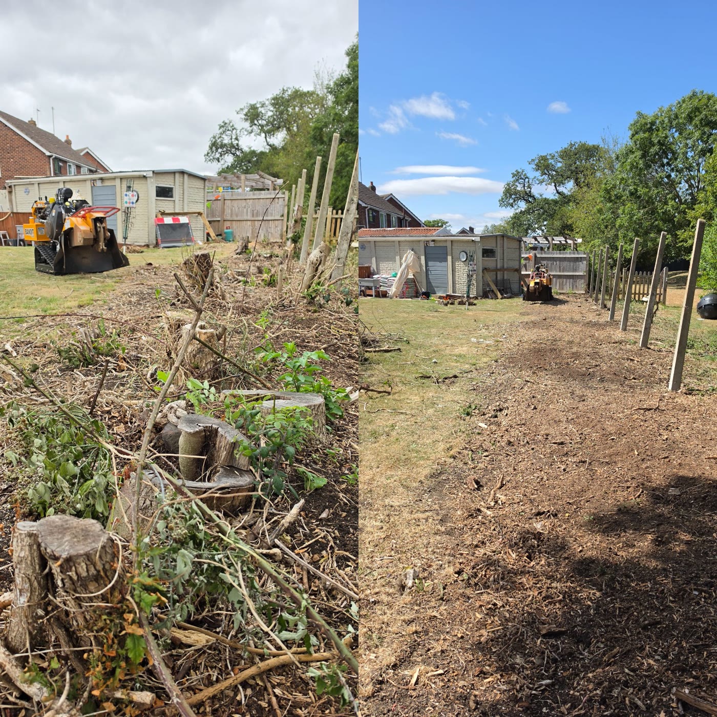 Row of stumps before and clear garden line after grinding